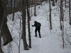 Beaver Pond; FLT NCT FLT B-01 snow