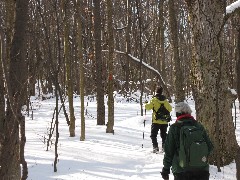 Lyn Jacobs; Ruth Bennett McDougal Dorrough; Hiking; NCT; FLT; B-01