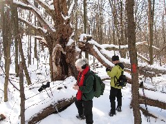 Ruth Bennett McDougal Dorrough; Lyn Jacobs; Hiking; NCT; FLT; B-01; Old Tree