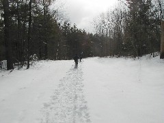 Hiking FLT B-01 Snowshoeing snow