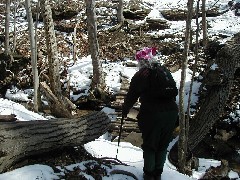 Ruth Bennett McDougal Dorrough; Hiking FLT B-01 snow