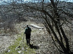 Ruth Bennett McDougal Dorrough; Hiking NCT FLT B-01