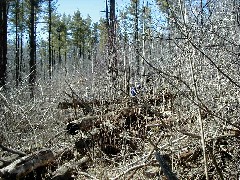 Ruth Bennett McDougal Dorrough; Lyn Jacobs; Hiking NCT FLT B-01 geocache HI-Tor