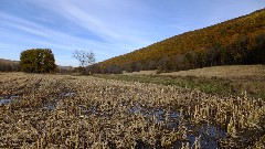 FLT; B-02; Italy Valley Rd; Italy, NY