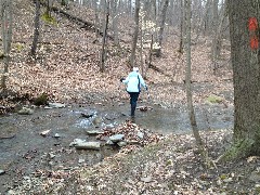 Ruth Bennett McDougal Dorrough; Hiking; FLT; Branch Trails; B-02