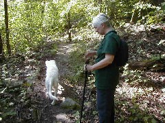 Ruth Bennett McDougal Dorrough; Hiking NCT FLT B-01 dog