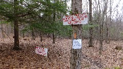 FLT; Branch Trails; B-03
sign private property
No hunting or vehicles
HIkers and Skies Welcome