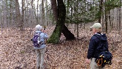 Lyn Jacobs; Jean Bub; FLT; Branch Trails; B-03