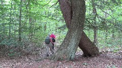 Ruth Bennett McDougal Dorrough; Lyn Jacobs; FLT; Branch Trails; B-03