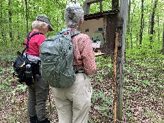 Lyn Jacobs; Ruth Bennett McDougal Dorrough; FLT; Branch Trails; B-03