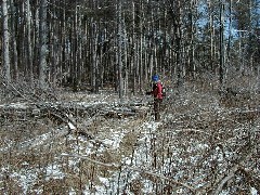 Lyn Jacobs; Hiking FLT B-03 snow