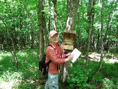 Lyn Jacobs; CT-03 Conservation Trail Hiking; at the connection between the Main Trail and the Conservation Trail