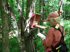 Lyn Jacobs; CT-03 Conservation Trail Hiking; at the connection between the Main Trail and the Conservation Trail