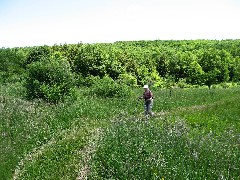 Ruth Bennett McDougal Dorrough; Hiking; Day Trips; ConservationTrail