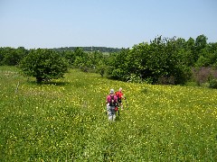 Ruth Bennett McDougal Dorrough; Lyn Jacobs; CT-03 Conservation Trail Hiking