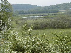 CT03 Conservation Trail Hiking