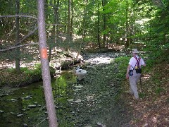 Dan Dorrough; Conservation TRail CT07