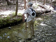 Ruth Bennett McDougal Dorrough; CT07 Conservation Trail Hiking