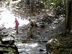 Lyn Jacobs; Jean Bubb; CT07 Conservation Trail Hiking