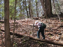 Ruth Bennett McDougal Dorrough; CT-08 Conservation Trail Hiking