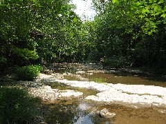 Lyn Jacobs; Jean Bubb; Conservation Trail Hiking