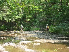 Lyn Jacobs; Jean Bubb; Conservation Trail Hiking