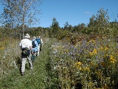 FLT CT08; Conservation Trail; Hiking;