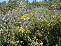 FLT CT08; Conservation Trail; Hiking;