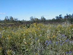 FLT CT08; Conservation Trail; Hiking;