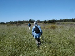 Hiking Conservation Trail CT08