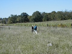 Hiking Conservation Trail CT08