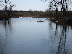 Conservation Trail Hiking