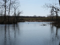 Conservation Trail Hiking