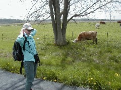 Lyn Jacobs; CT09 Conservation Trail Hiking