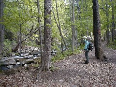 Lyn Jacobs; CT09 Conservation Trail Hiking