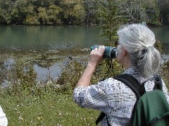 Ruth Bennett McDougal Dorrough; CT11 Conservation Trail Hiking