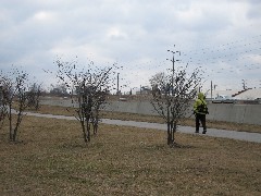 Lyn Jacobs; CT12 Conservation Trail Hiking