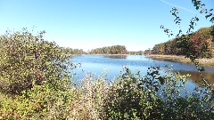 FLT; Branch Trails; I-01; Interlocken Trail; pond