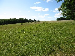 near the Interloken Trail