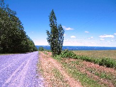 near the Interloken Trail