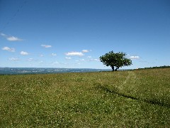 near the Interloken Trail