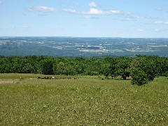 near the Interloken Trail