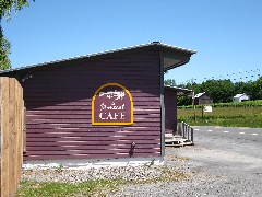 StoneCat Cafe