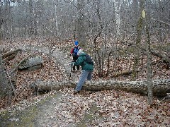 Lyn Jacobs; Ruth Bennett McDougal Dorrough; Hiking NCT FLT L-01 Letchworth Trail