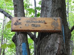 Onandaga Trail FLT NCT Hiking