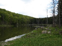 Spruce Pond; Onandaga Trail FLT NCT Hiking