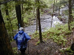 Ruth Bennett McDougal Dorrough; Tinker Falls; FLT NCT Onandaga Trail