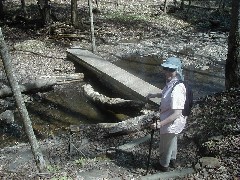 Ruth Bennett McDougal Dorrough; FLT M22 bridge