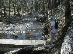 Ruth Bennett McDougal Dorrough; FLT M22 bridge