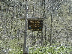 Hiking NCT FLT M22 Buck s Brook State Forest